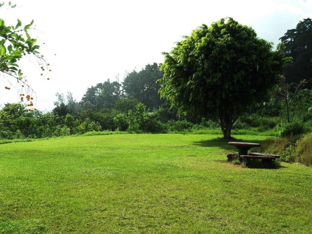 Hotel Las Fresas Del Volcan Poas Sabana Redonda Exterior photo